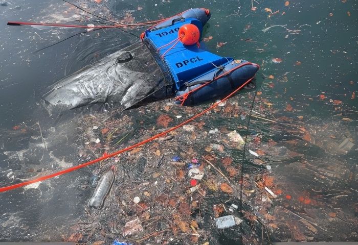DPOL dans un amas de déchets flottants