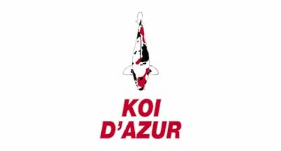 logo-koi